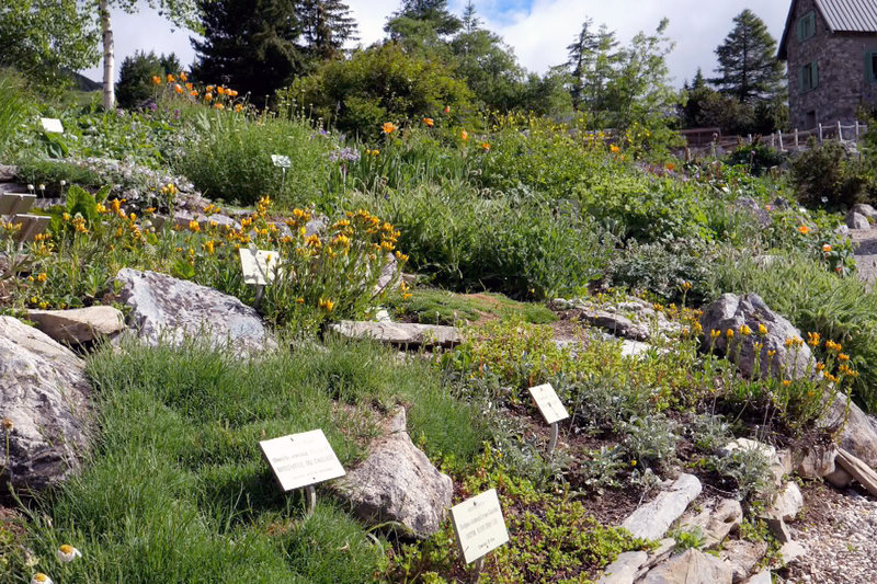 Magische Gärten S03E03 Botanischer Garten von Lautaret fernsehserien.de