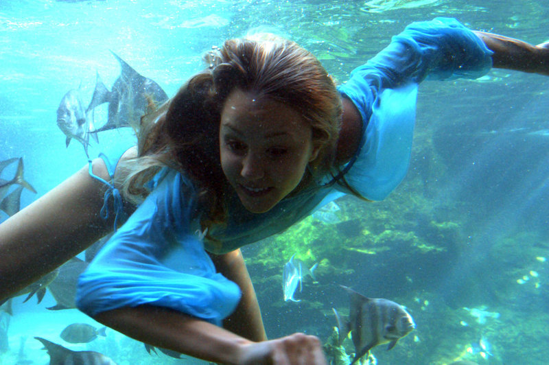 Lovewrecked – Bild: Media 8 Entertainment Lizenzbild frei