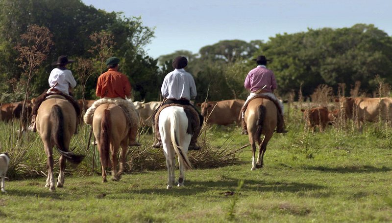 SWR Fernsehen LÄNDER – MENSCHEN – ABENTEUER, „Brasilien – Land der tausend Farben“, am Sonntag (15.06.14) um 15:15 Uhr. Gauchos, die Cowboys von Rio Grande do Sul. – Bild: SWR SWR Fernsehen LÄNDER – MENSCHEN – ABENTEUER, „Brasilien – Land der tausend Farben“, am Sonntag (15.06.14) um 15:15 Uhr. Gauchos, die Cowboys von Rio Grande do Sul. – Bild: SWR