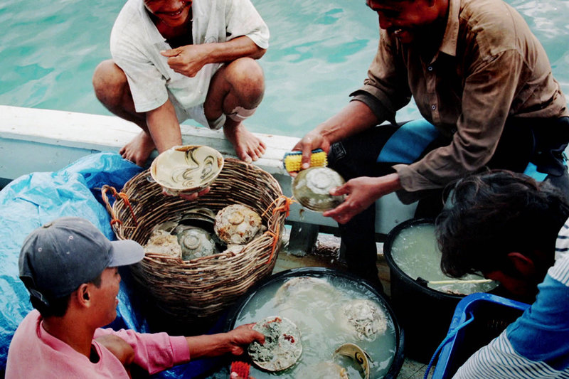 Schatzsuche unter Wasser – Bild: SRF1