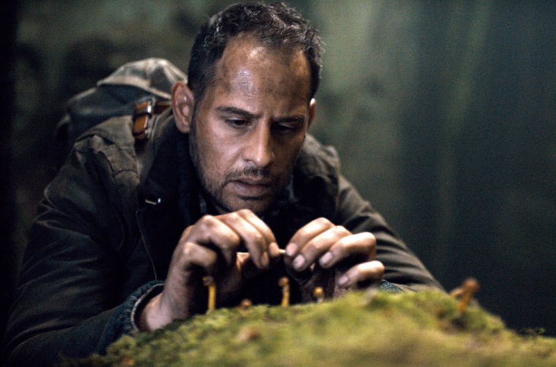 Er sucht im Wald nach einem Gegengift: Moritz Bleibtrei als Urs Blank – Bild: SWR/AlamodeFilm/Felix Cramer Er sucht im Wald nach einem Gegengift: Moritz Bleibtrei als Urs Blank – Bild: SWR/AlamodeFilm/Felix Cramer