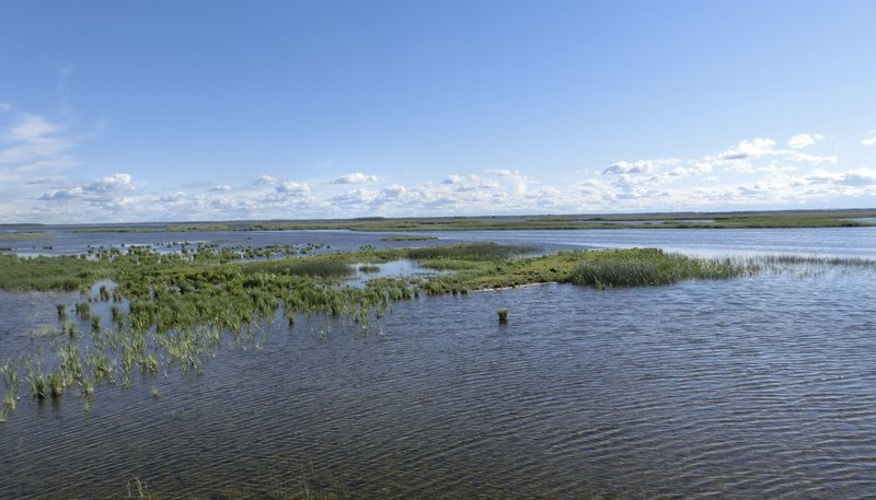 Blick auf den Engure-See in Lettland, Teil eines Naturschutzgebiets. – Bild: HR/​Dagmar Hase