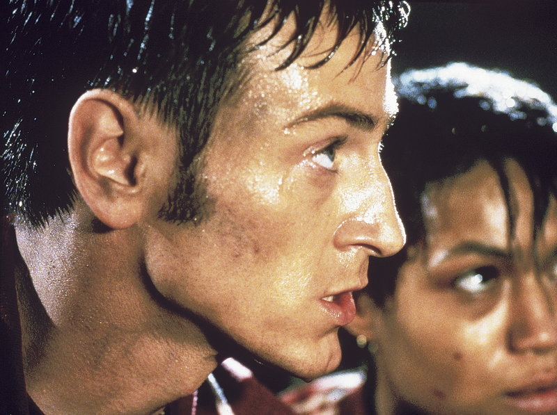 Das tödliche Wespennest – Bild: Lions Gate Films Inc. Lizenzbild frei