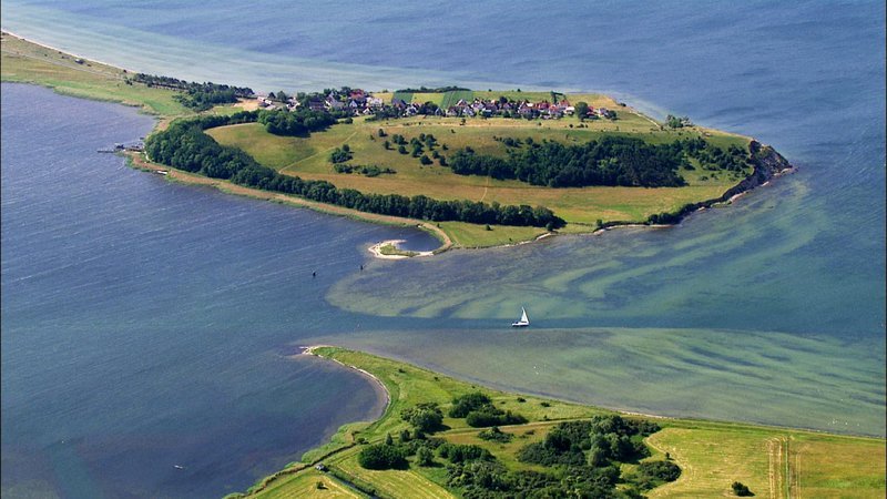 Rügen Zicker.
– Bild: Geo Television
Rügen Zicker.
– Bild: Geo Television