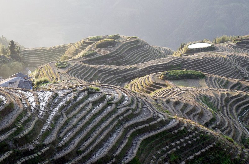 Im Süden Chinas liegen die sogenannten Drachenrücken – die berühmtesten Reisfelder der Erde. Bis heute zeugen die langen Haare der einheimischen Frauen von einem traditionsbewussten Leben. – Bild: ZDF /​ © Medea Film/​Thomas Bresinsky