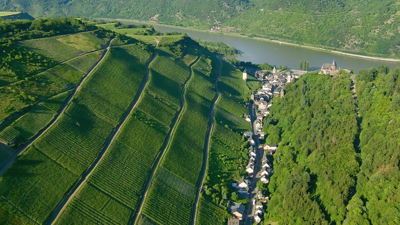 Bacharach – Bild: Geo Television / Vidicom 2 Bacharach – Bild: Geo Television / Vidicom 2