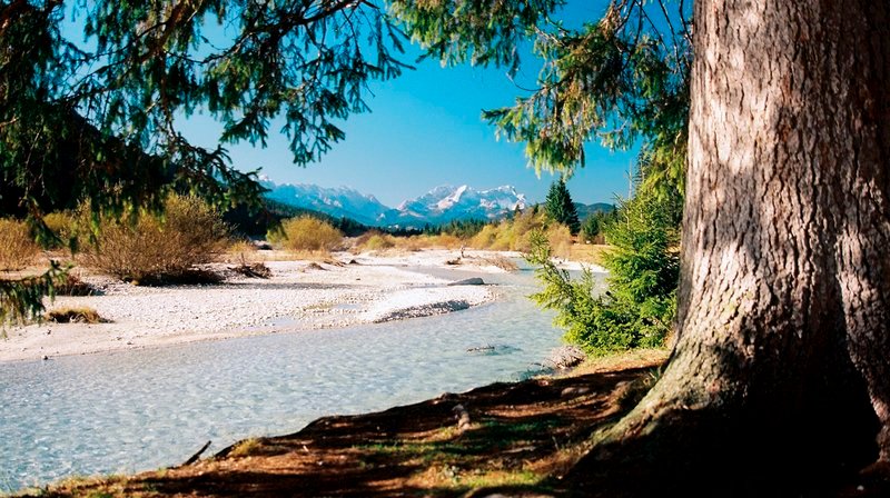 Die Isar im Herbst: Von Oktober bis Dezember suchen Bachforellen ihre Laichplätze in kleineren Zuflüssen oder seichteren Seitenarmen des Flusses auf. Weiteres Bildmaterial finden Sie unter www.br-foto.de. – Bild: ARTE/BR Die Isar im Herbst: Von Oktober bis Dezember suchen Bachforellen ihre Laichplätze in kleineren Zuflüssen oder seichteren Seitenarmen des Flusses auf. Weiteres Bildmaterial finden Sie unter www.br-foto.de. – Bild: ARTE/BR