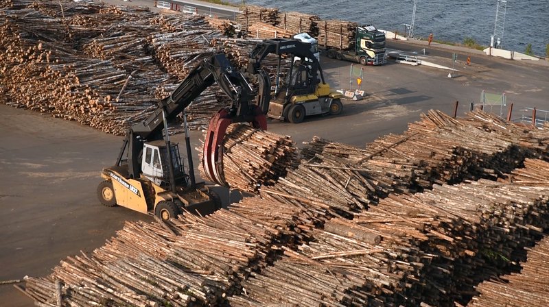 Abgeholzt! - Wie Europas letzte Urwälder verfeuert werden – Bild: WDR/​Mätzig/​6w-Film