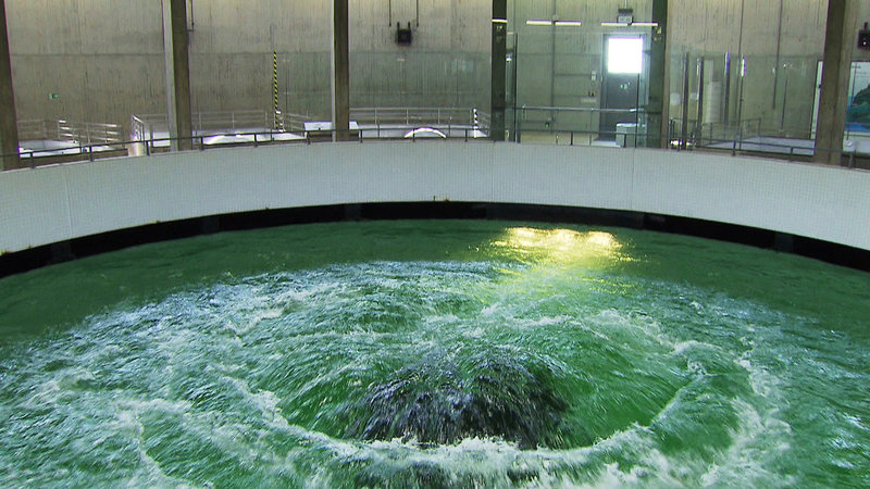 Ein See für drei Länder – Bild: ORF/​Landesstudio Vorarlberg