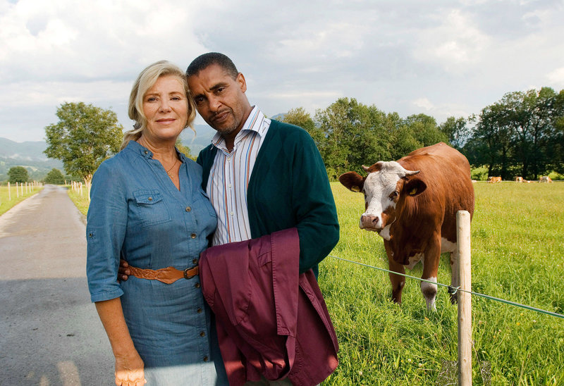 24 Milchkühe und kein Mann – Bild: ORF