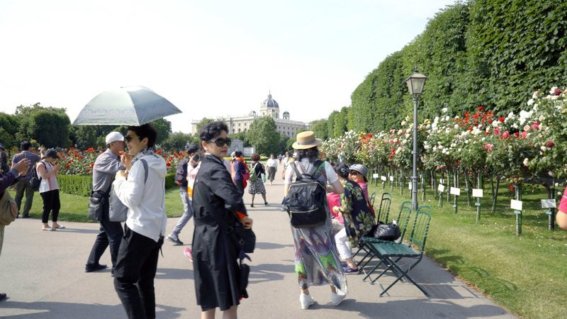 Rosengarten im Volksgarten. – Bild: ORF Rosengarten im Volksgarten. – Bild: ORF