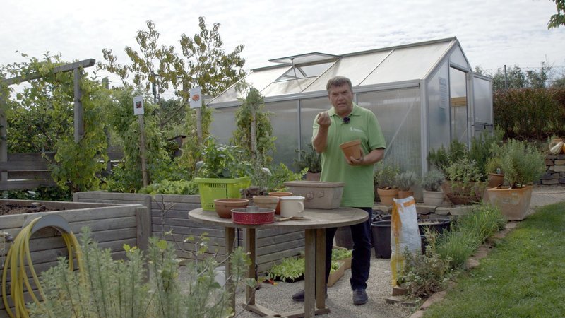 Greenhouse. – Bild: ORF
