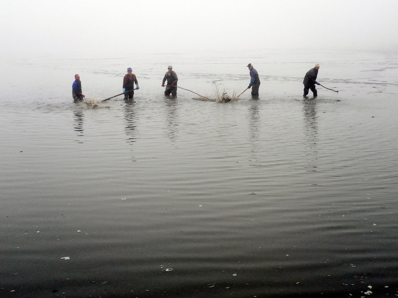 Kamp - Ein Fluss für alle Sinne – Bild: 3sat