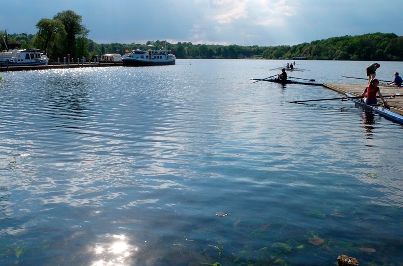 Die Holsteinischen Seen (hier: Plöner See) ist das Trainigsrevier für norddeutsche Leistungsruderer. – Bild: NDR/​Uli Patzwahl