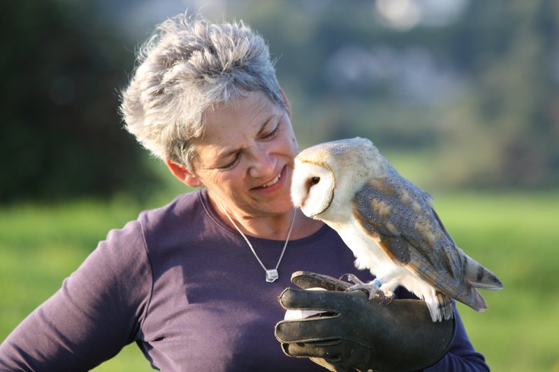 Eulen - Die zauberhaften Räuber – Bild: GEO Television /​ BBC