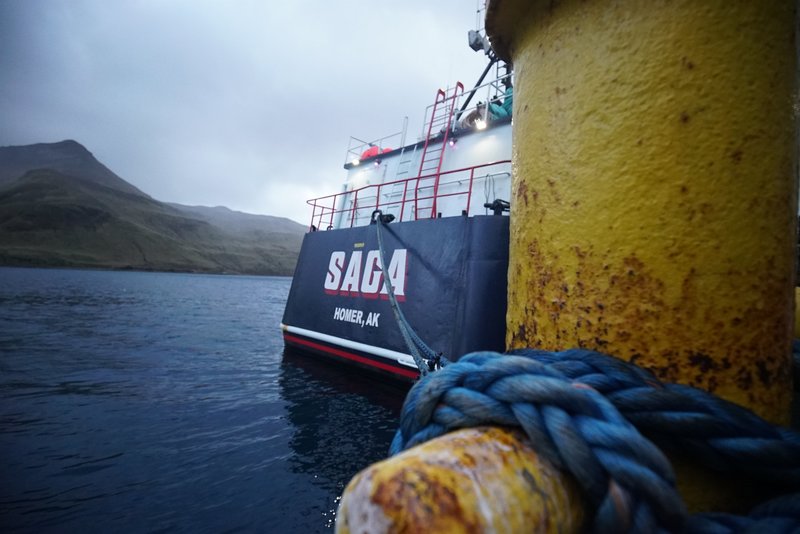 Der Gefährlichste Job Alaskas Staffel 11 Der Gefährlichste Job Alaskas Staffel 11