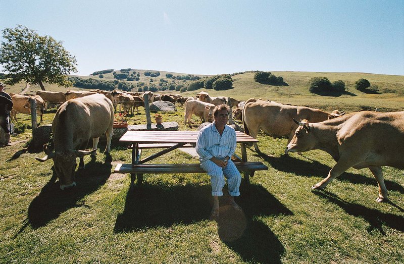 Saint Jacques ... Pilgern auf Französisch – Bild: Koch