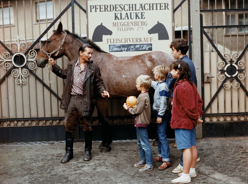 Jeder träumt von einem Pferd – Bild: WDR/​DRA/​Leher