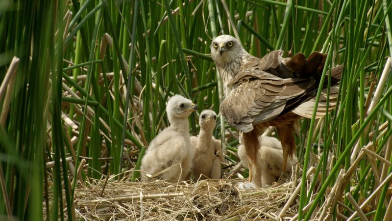 Artisten im Wind – Bild: BR/​TEXT + BILD Medienproduktion GmbH & Co. KG