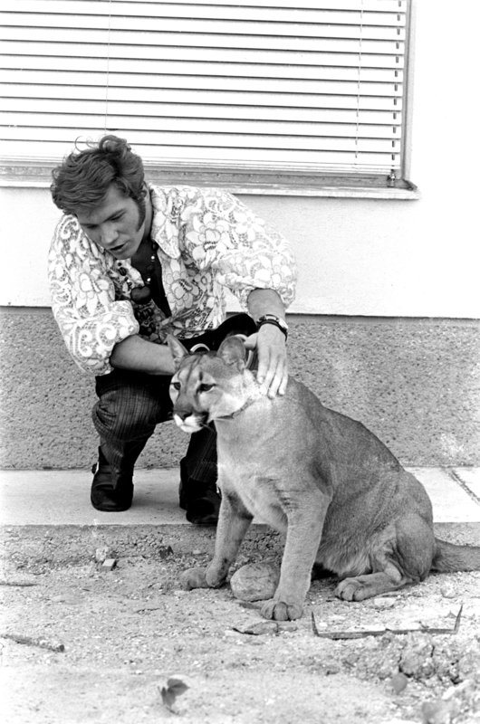 Finder, bitte melden! – Bild: ORF