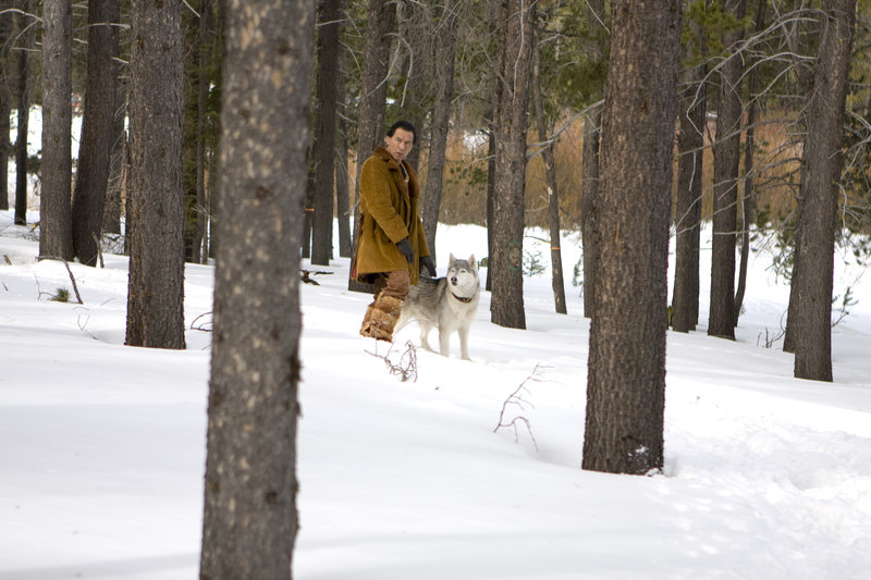 Ruf der Wildnis – Bild: ZDF und John Fleenor