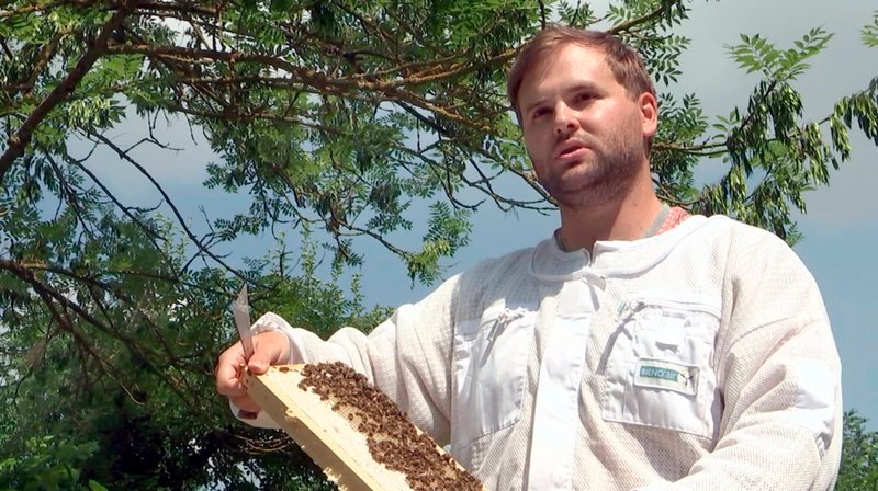 Der Berufsimker Oliver Hohmann aus Gudensberg-Gleichen produziert Honige mit verschiedenen Geschmacksrichtungen. – Bild: HR