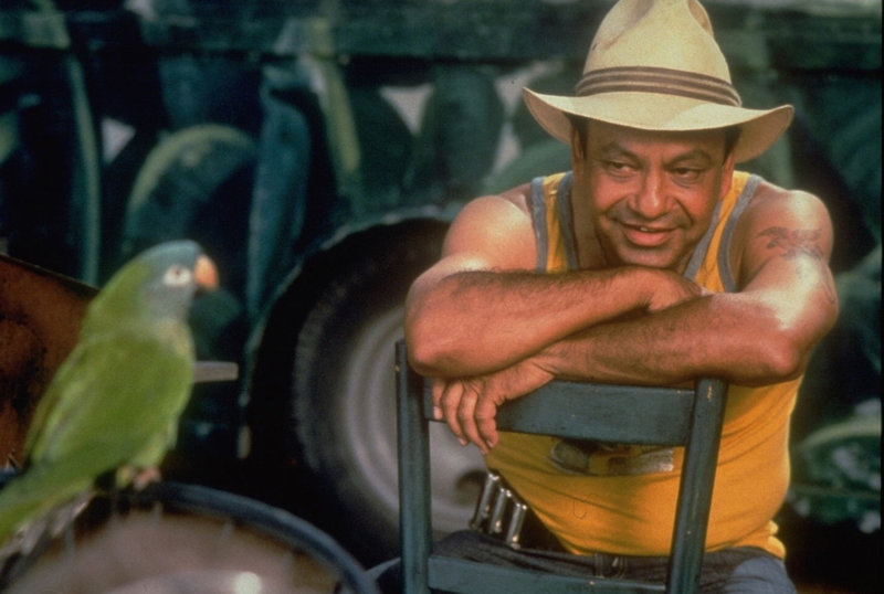 Paulie - Ein Plappermaul macht seinen Weg – Bild: DreamWorks Lizenzbild frei