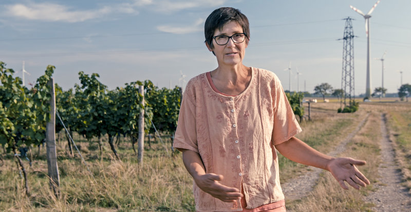 Bauer unser: Billige Nahrung - teuer erkauft – Bild: Lukas Gnaiger /​ ORF /​ Allegro Film