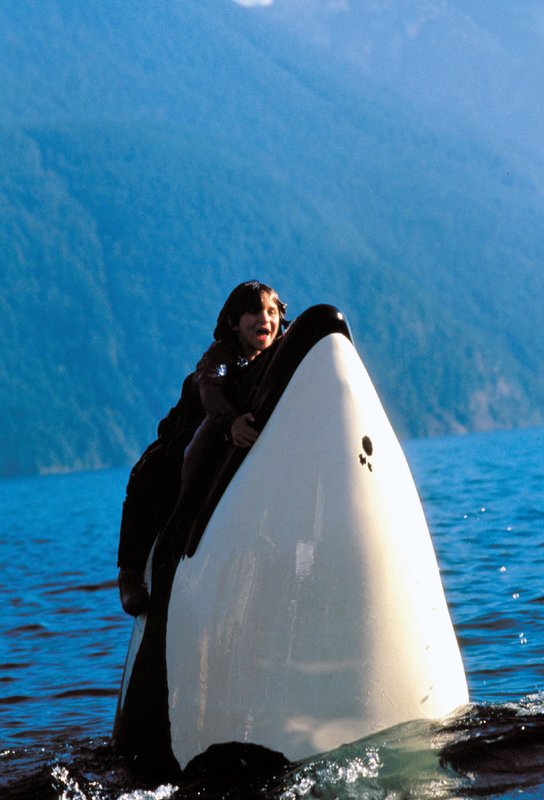 Free Willy III: Die Rettung – Bild: RTL