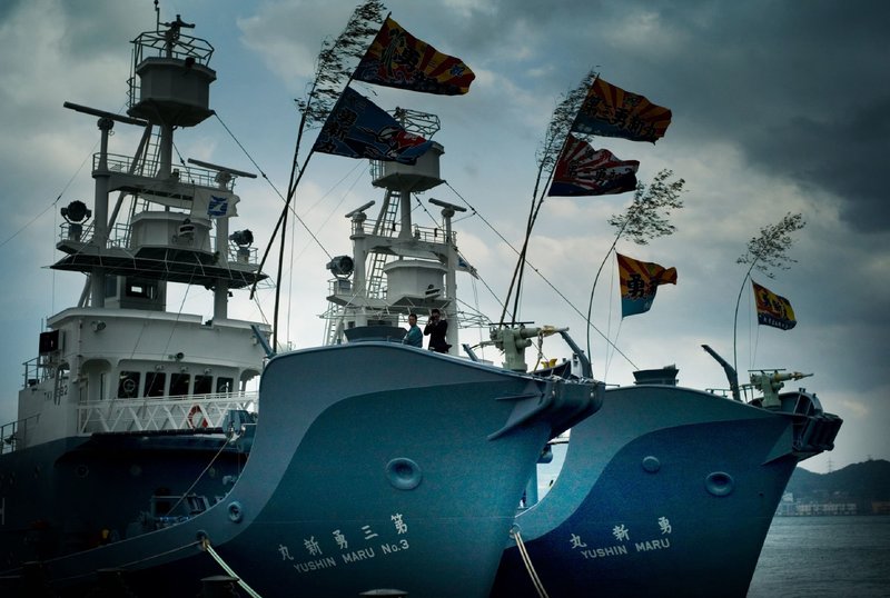 Jagdzeit – Bild: BR/​Venzago/​Leykauf Film