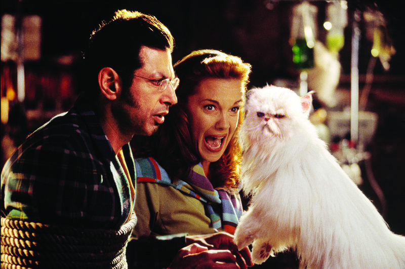 Cats & Dogs - Wie Hund und Katz' – Bild: Disney © Disney•Pixar © & ™ Lucasfilm LTD © Marvel. Alle Rechte Vorbehalten