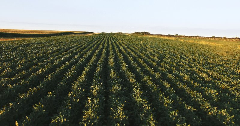 Weggeworfen! Wie wir unser Essen verschwenden – Bild: Geo Television /​ © 2017 ZP