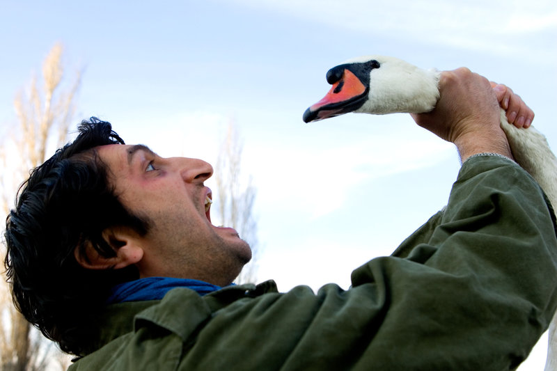 Ein Augenblick Freiheit – Bild: ORF