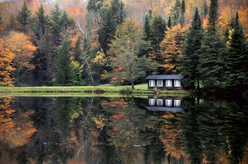 Ort für Erinnerungen: In dieser Hütte in den einsamen Wäldern Vermonts lebt Piero Bonamico mit seiner Frau Lee Aura. – Bild: arte