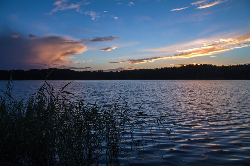 Müritz – Bild: CC0 Public Domain Müritz – Bild: CC0 Public Domain