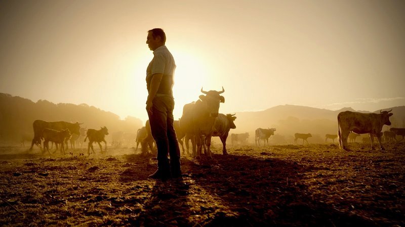 Dieser Farmer hat einen Weg gefunden, Natur und Tiere respektvoll zu behandeln. – Bild: GEO Television
