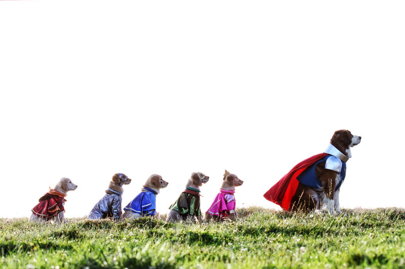 Super Buddies – Bild: ORF