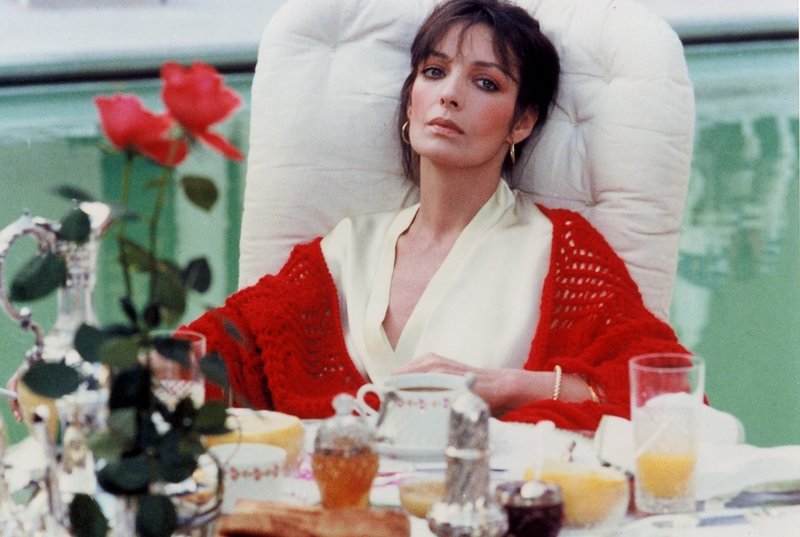 Der Windhund – Bild: TMG