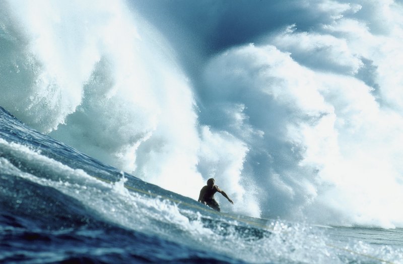 Surfing – Bild: KINOWELT TV