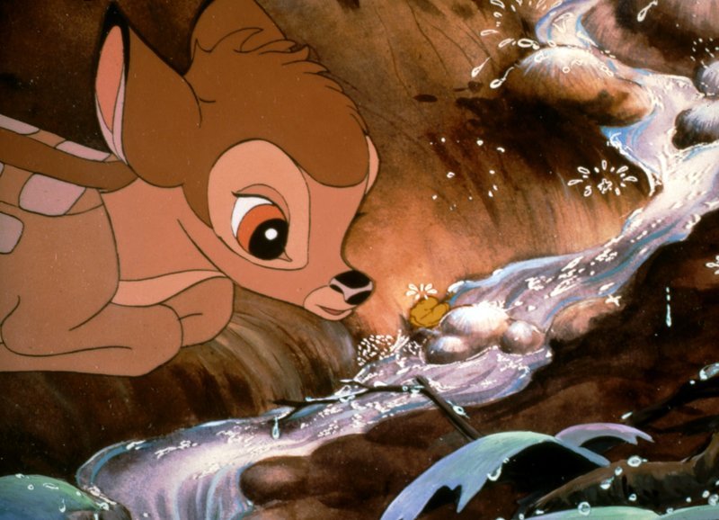 Die ganze Welt ist ein großer Abenteuerspielplatz: Auch der erste Frühling ist ein spannendes Erlebnis für den jungen Bambi … – Bild: TV Puls