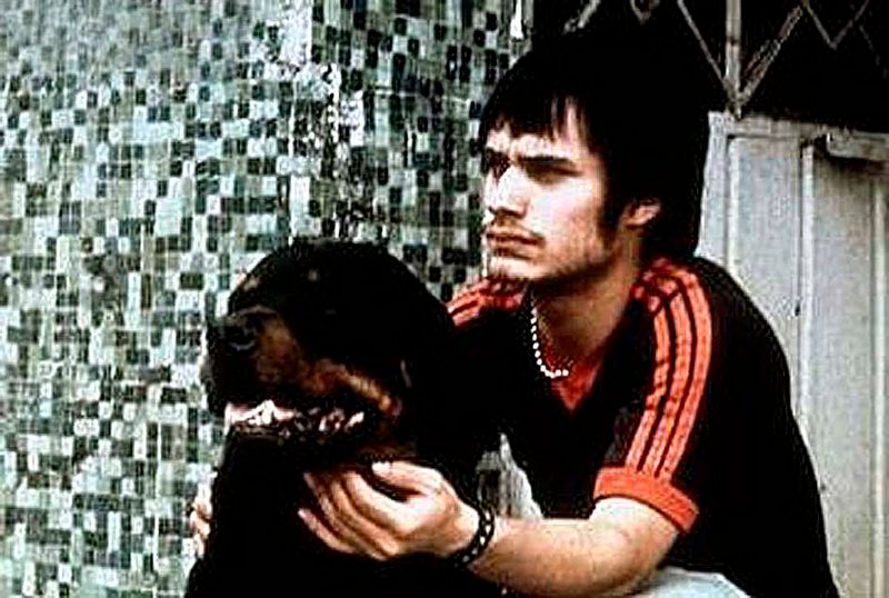 Der arbeitslose Ocatvio (Gael Garcia Bernal) richtet seinen geliebten Rottweiler für illegale Hundewettkämpfe ab. – Bild: TELE/​TPS /​ DMB