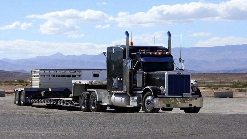 peterbilt, usa, truck, united states, vice, commercial vehicle, transport, automotive, america, traffic, north america, vehicle , – Bild: CC0 Creative Commons Free for commercial use No attribution required