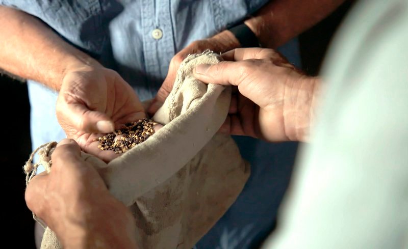 Woldemar Mammel entdeckt alte Linsen. – Bild: SWR/Eikon Media GmbH/Steffen Bohnert Woldemar Mammel entdeckt alte Linsen. – Bild: SWR/Eikon Media GmbH/Steffen Bohnert