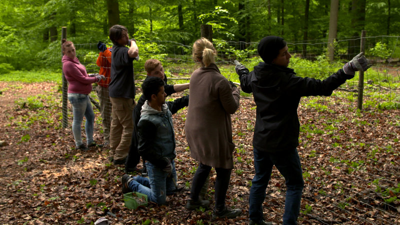 Therapie unter Tannen – Bild: ZDF und Kelvinfilm GmbH/​Frank Schunicht
