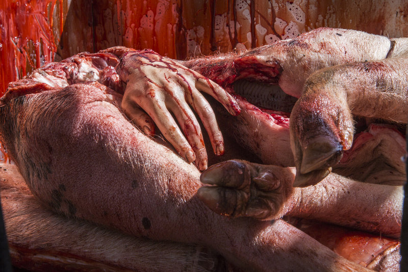 Wolf Creek 2 – Bild: Mark Rogers 2013 Lizenzbild frei