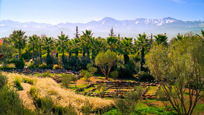 Die wahren Abenteuer des André Heller – Bild: ORF