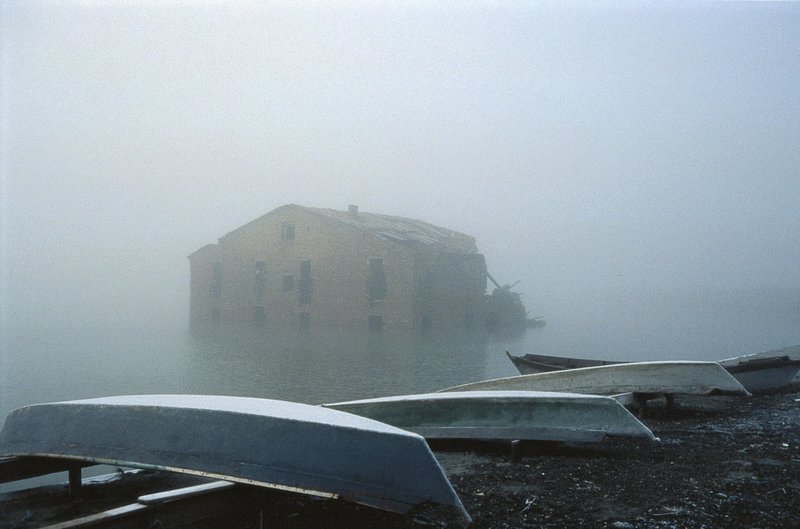 Nebelstimmung im Po-Delta. – Bild: BR/​ORCA Naturfilmproduktion