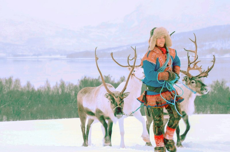 Dank seiner Heirat mit einer Samin geht für den Norweger Reiulf Aleksandersen sein Kindheitstraum von einer eigenen Rentierzucht in Erfüllung. Wobei die Genehmigung jedoch nur für die Insel Kvaløya unweit von Tromsø gilt. – Bild: ARTE France /​ © f(x) productions
