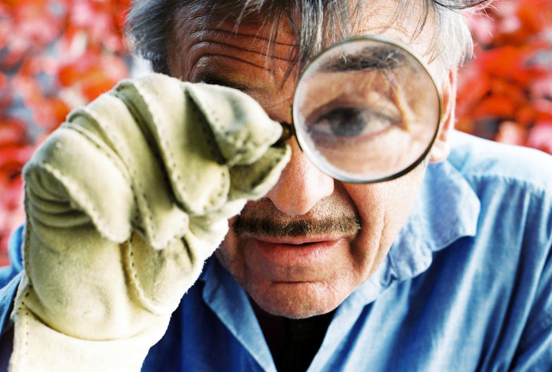 Villa Henriette – Bild: ORF