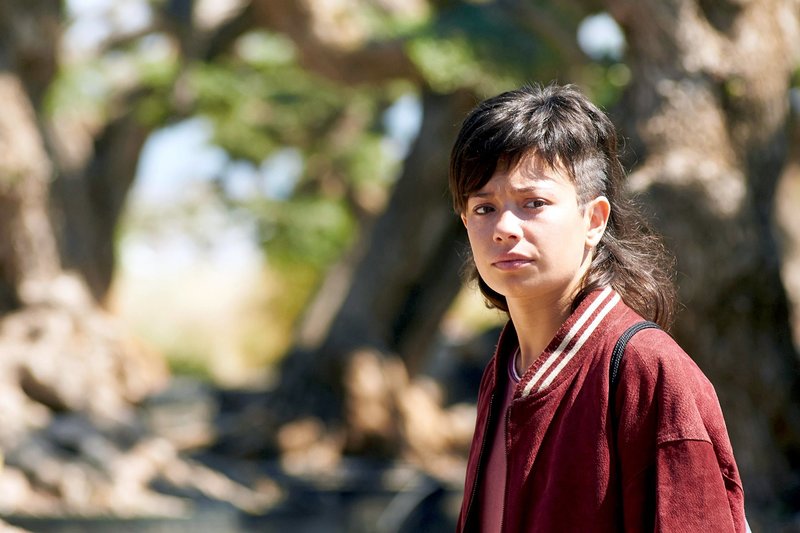 El Olivo - Der Olivenbaum – Bild: ARD
